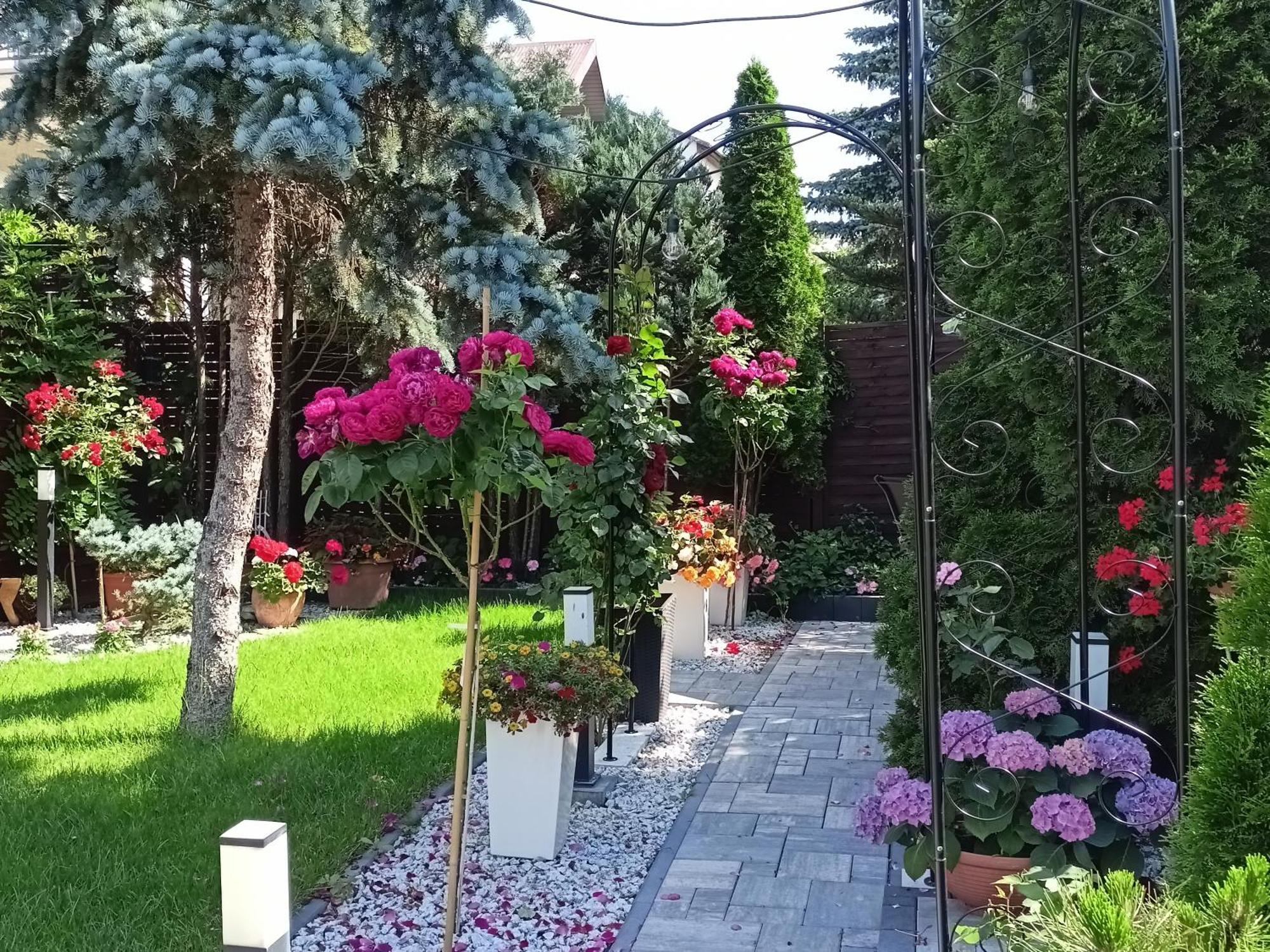 Pokoje Hotelowe Nad Zalewem Siedlce Εξωτερικό φωτογραφία