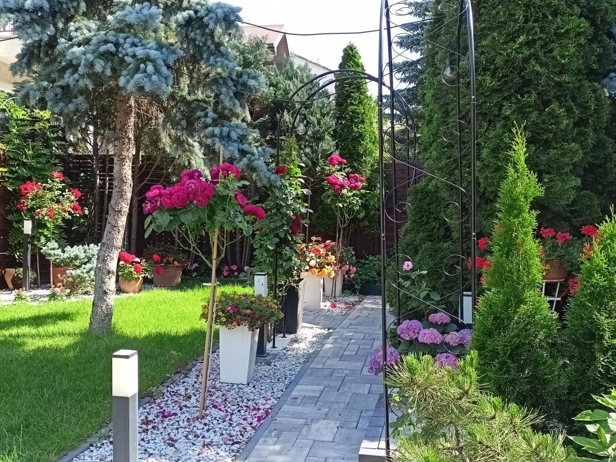 Pokoje Hotelowe Nad Zalewem Siedlce Εξωτερικό φωτογραφία
